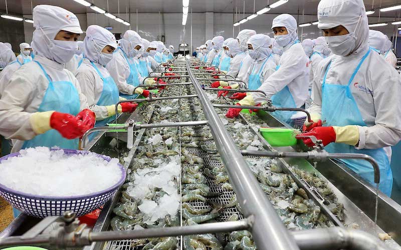 Công nghệ nhà máy chế biến tôm xuất khẩu 