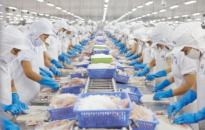 Tìm hiểu Throught put là gì 3 Nhà máy chế biến thủy sản